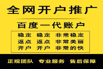 百度广告投放技巧及效果评估案例